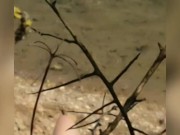 Salope française aux gros seins s'exibe nue sur une plage 15/16