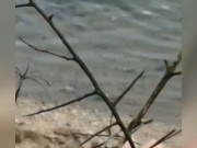 Salope française aux gros seins s'exibe nue sur une plage 16/16