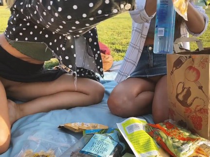 Public risqué - pique-niquement dans le parc avec des amis