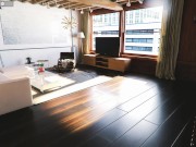 The Secret Reloaded - 10 Beautiful House, Beautiful Lady 13/16