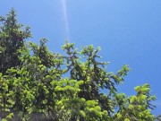 Nicoletta can't hold back and pisses on your face in a public garden - Wonderful upskirt pee 1/16