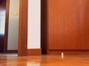 Your Italian giantess reduces you to dust in this magnificent video 3/16