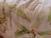 Husband gives wife sloppy seconds after morning sex with bull 7/16