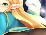 Sex Research with Zelda (Hentai JOI) (COM.) (Breath of the Wild, Wholesome) 3/16