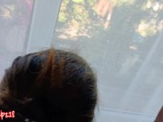 HORNY PINAY SEX /SUGARLIPZ28 VIRAL 2021 12/16