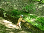 Нудистка гуляет в лесу 9/16