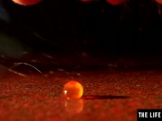 Decadent cutie eats caviar as she masturbates to a wild orgasm 2/16