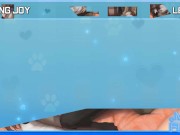 SFG Miss Furry Review 10/16