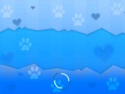 SFG Miss Furry Review 5/16