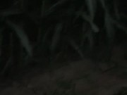 slutty girl give me head in corn maze  8/16