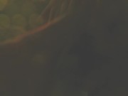 Air BnB hottub foot job 7/16