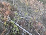 We went to the mountains and had hot sex there with a beautiful view !!! 8/16