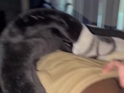 Addison Rae sextape (deepthroat) (netflix n chill) 14/16