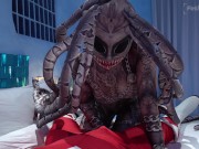 Special Service IV - PV 8/16