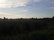 Sexo oral en publico 1/16