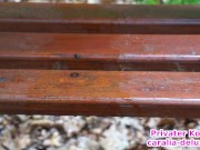 Piss off a bench 16/16