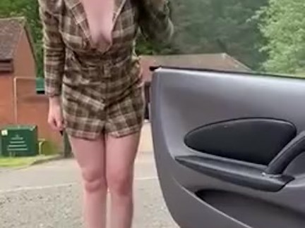 Пикапер уговорил девушку на секс в авто