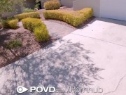 POVD Cutie Plays With Sticky Cum 1/16