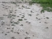 Секс с любовником у дороги 5/16