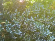 🤫 STRANGER FINDS HOT BIG ASS PAWG TANNING & FUCKS IN PUBLIC 1/16