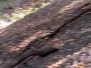 Good deepthroat in the woods 1/16