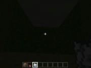 Minecraft Tips and Tricks 3: Fast and Free House 10/16