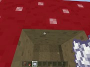 Minecraft Tips and Tricks 3: Fast and Free House 13/16