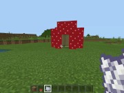 Minecraft Tips and Tricks 3: Fast and Free House 16/16