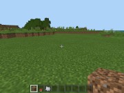 Minecraft Tips and Tricks 3: Fast and Free House 2/16