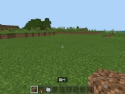 Minecraft Tips and Tricks 3: Fast and Free House 3/16