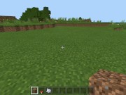 Minecraft Tips and Tricks 3: Fast and Free House 5/16