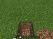 Minecraft Tips and Tricks 3: Fast and Free House 6/16