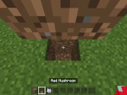 Minecraft Tips and Tricks 3: Fast and Free House 7/16