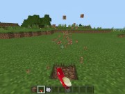 Minecraft Tips and Tricks 3: Fast and Free House 8/16