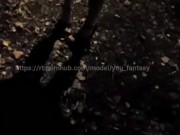 Прохожий дал в рот в парке и трахнул 6/16