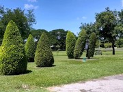 Thai girl nice shape พาเดินเล่นก่อนขึ้นห้อง 1/16