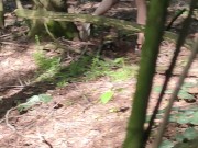 Cute schoolgirl fucked by teacher in the woods 1/16