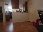 Swaying Apart-- Paying the Electrician -- Hubby's Brother 4/16