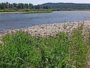 выебал сучку на острове 1/16