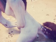 Кошка FURRY сесбиянит с египетской жрицей Клеопатрой на диком пляже 9/16