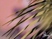 Big Titty Brunette Takes A Pounding 6/16