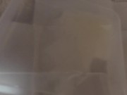 cum shot moment collection 10/16