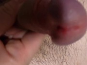 cum shot moment collection 12/16