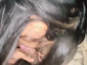 หลังจากทำงานร่วมกันในครัวแล้วปล่อยให้เข้ามาในห้องต่อไป นักเรียนเสียงไทย. 5/16