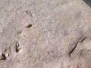 Sparks Go Wild Road trip to California adventure sex! 14/16