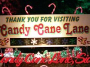 Candy Cane Lane 1/16