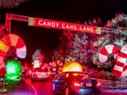 Candy Cane Lane 3/16
