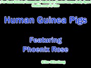 $CLOV Glove In As Doctor Tampa To Examine & Preforms Strange Medical Experiments On Phoenix Rose! 9/16