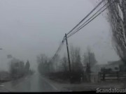 Sexy Babe In A Car 8/16