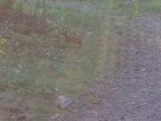 My Smelly Sockies and Pee Panties 4/16